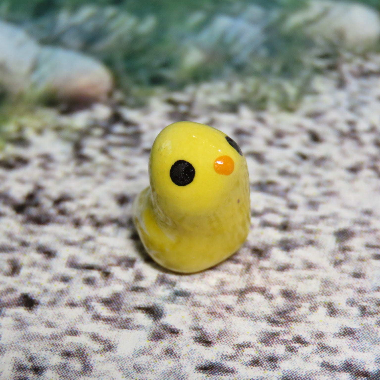 Baby Chick