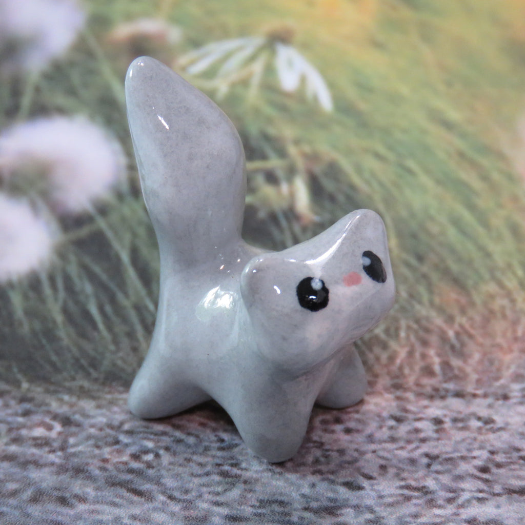 Perky Squirrel
