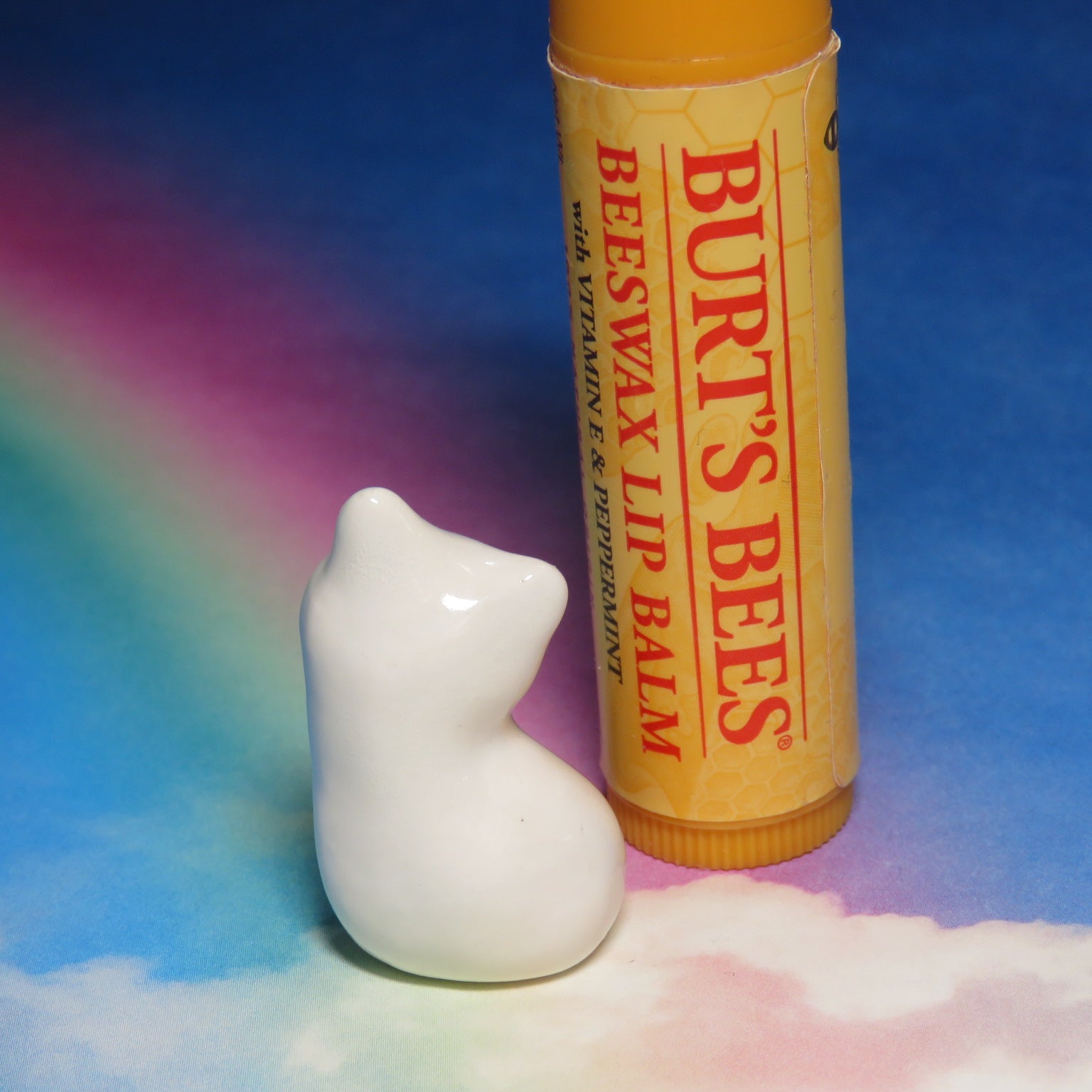 Rainbow Kitty