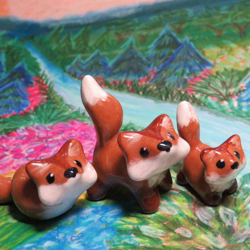 Shy Fox