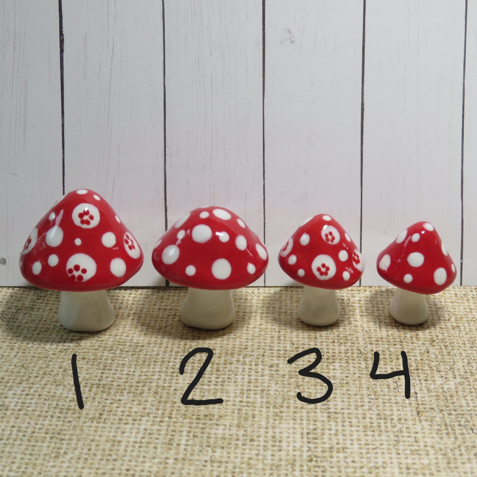 Red Mushroom 3