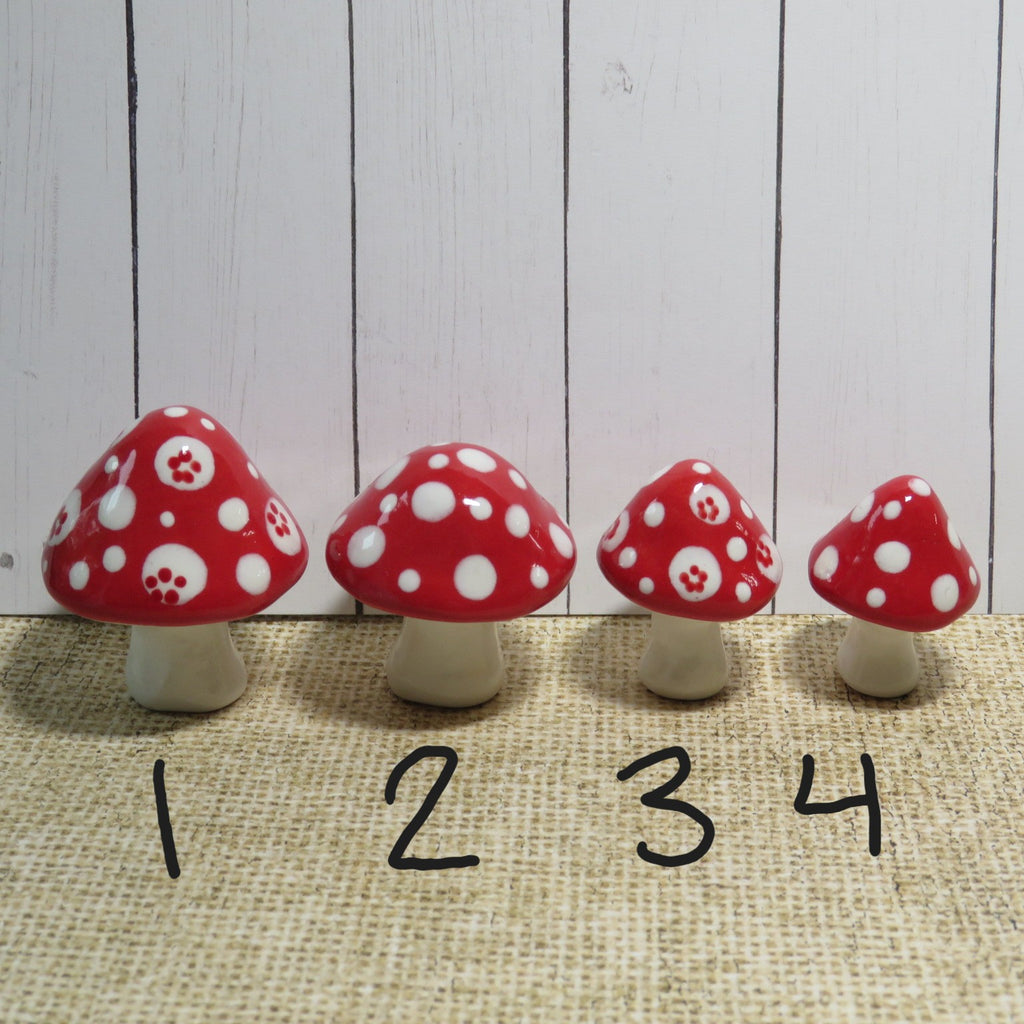 Red Mushroom 4