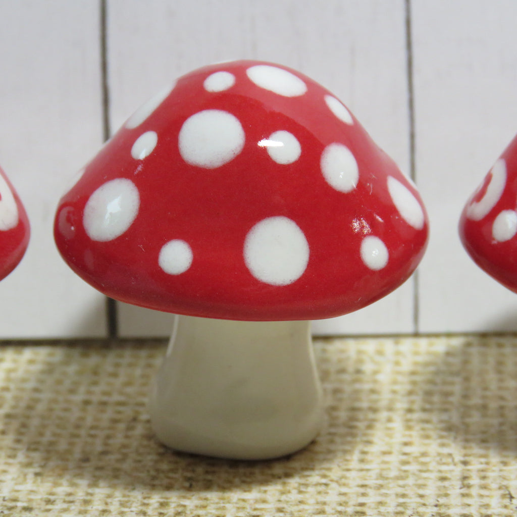 Red Mushroom 2
