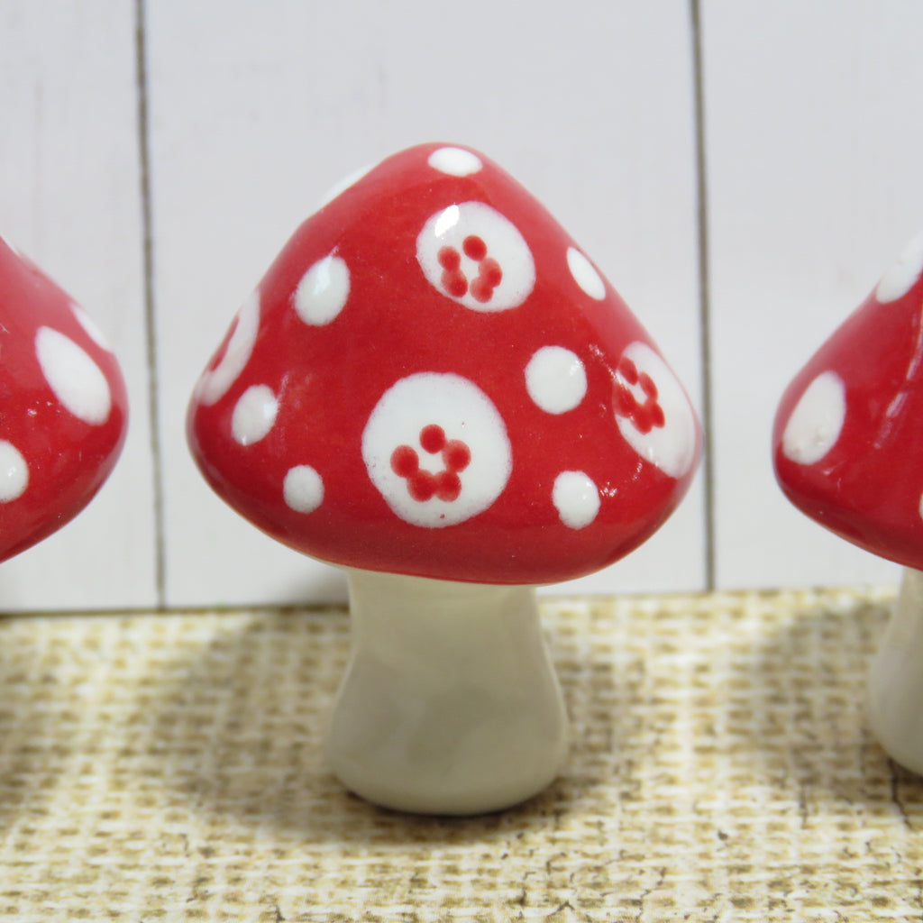 Red Mushroom 3