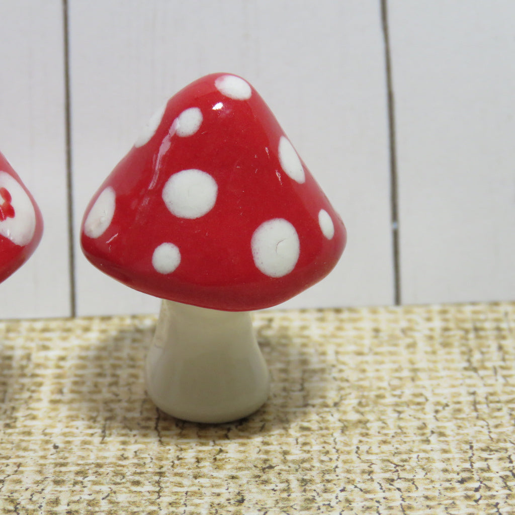 Red Mushroom 4