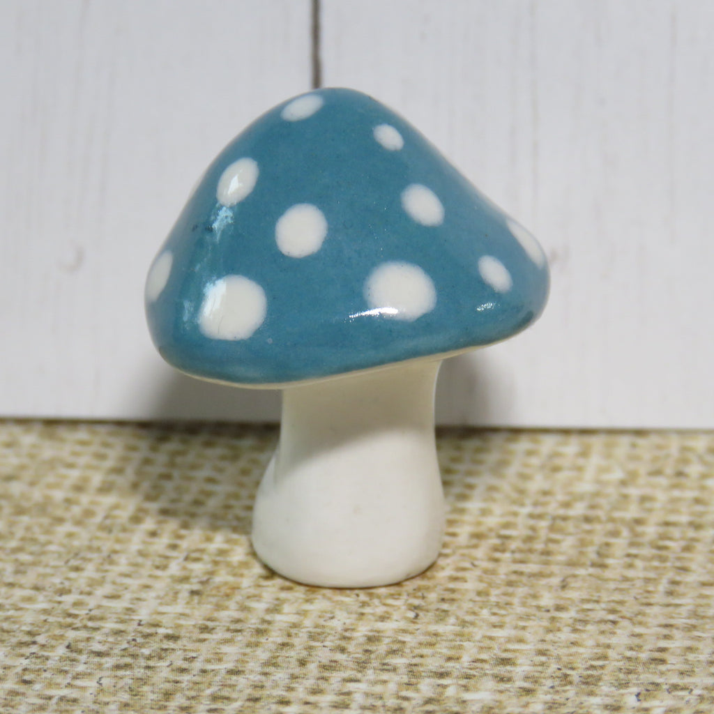 Blue Mushy