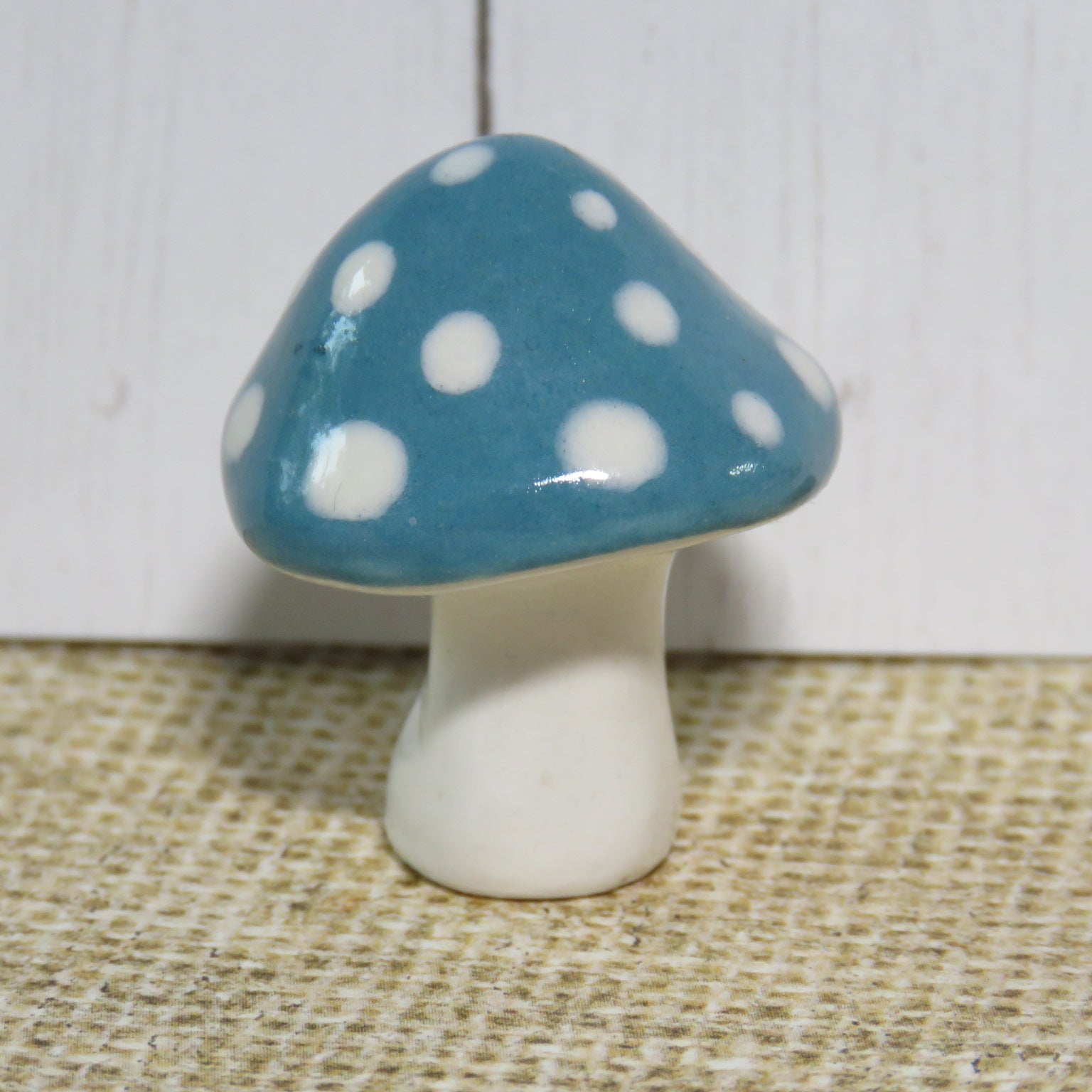 Blue Mushy