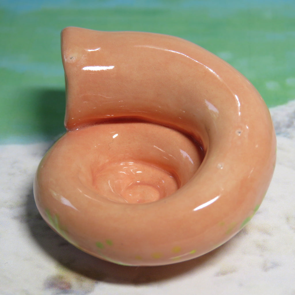 Sea Oats Moonsnail Whatnot