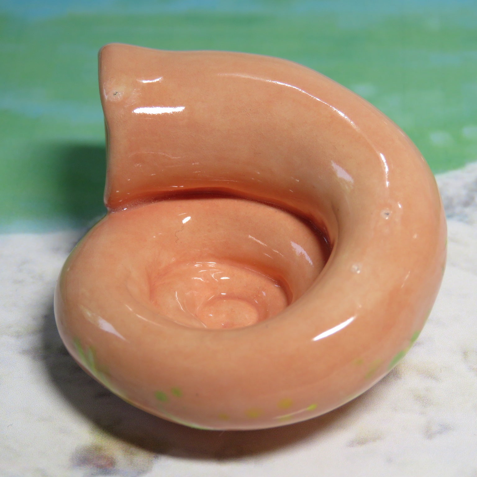 Sea Oats Moonsnail Whatnot