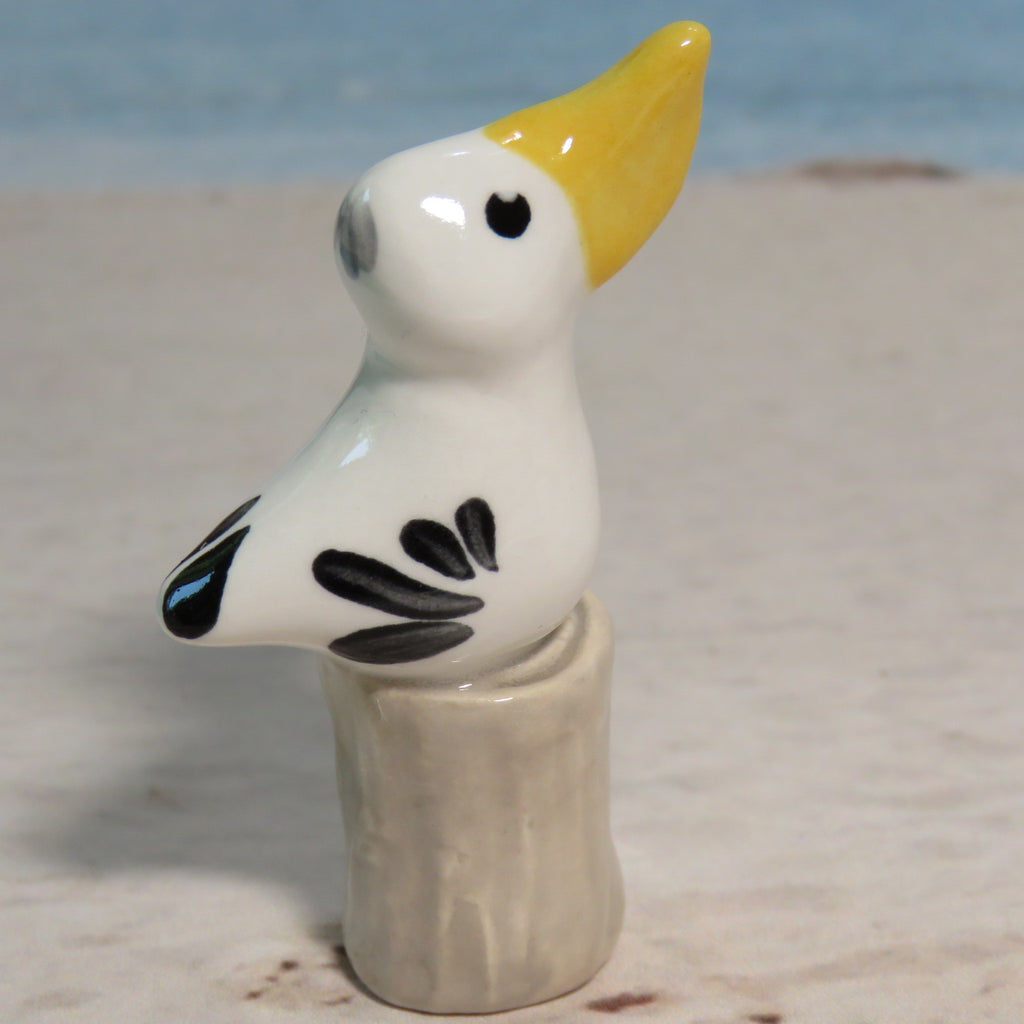 Pelican