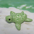 Sea Turtle