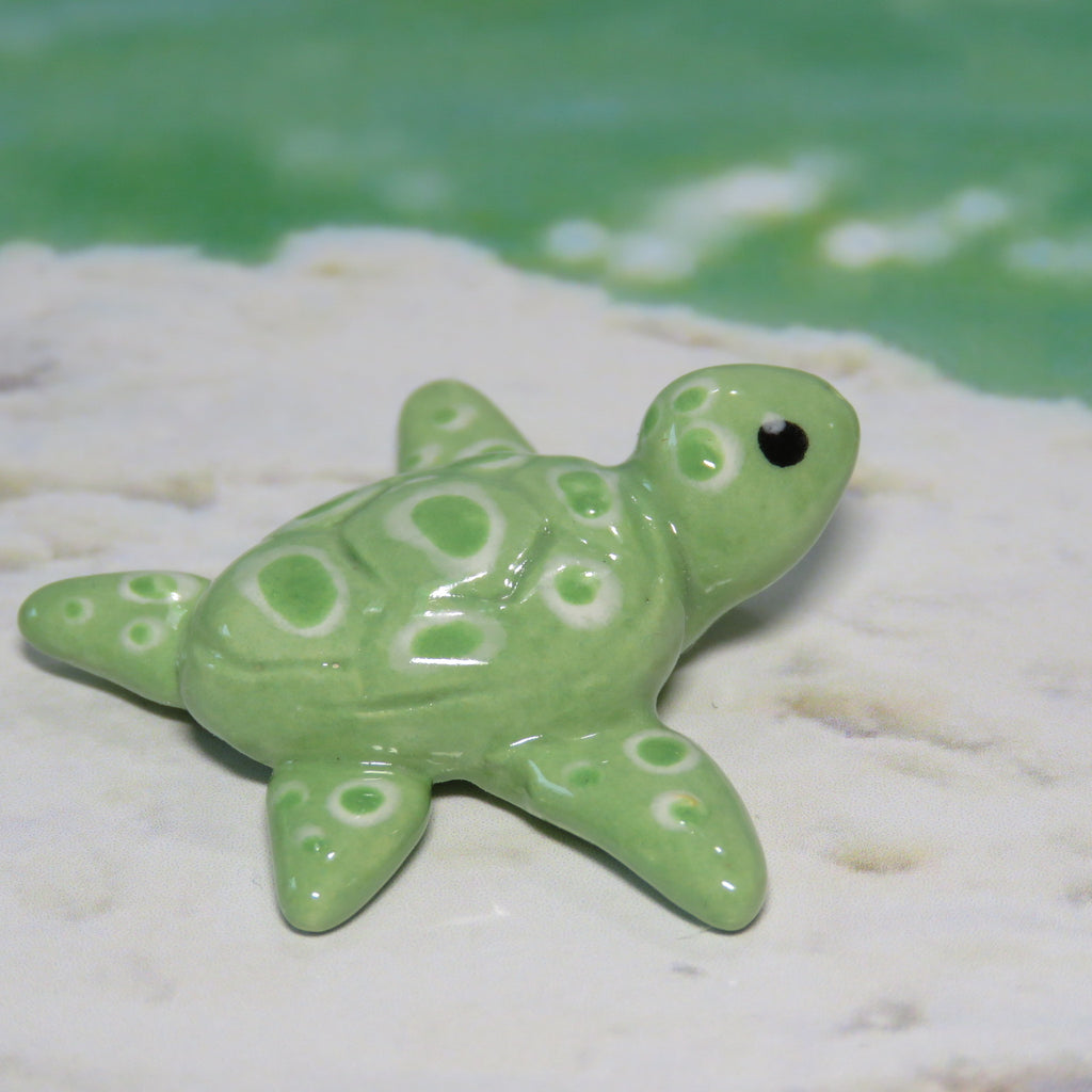 Sea Turtle