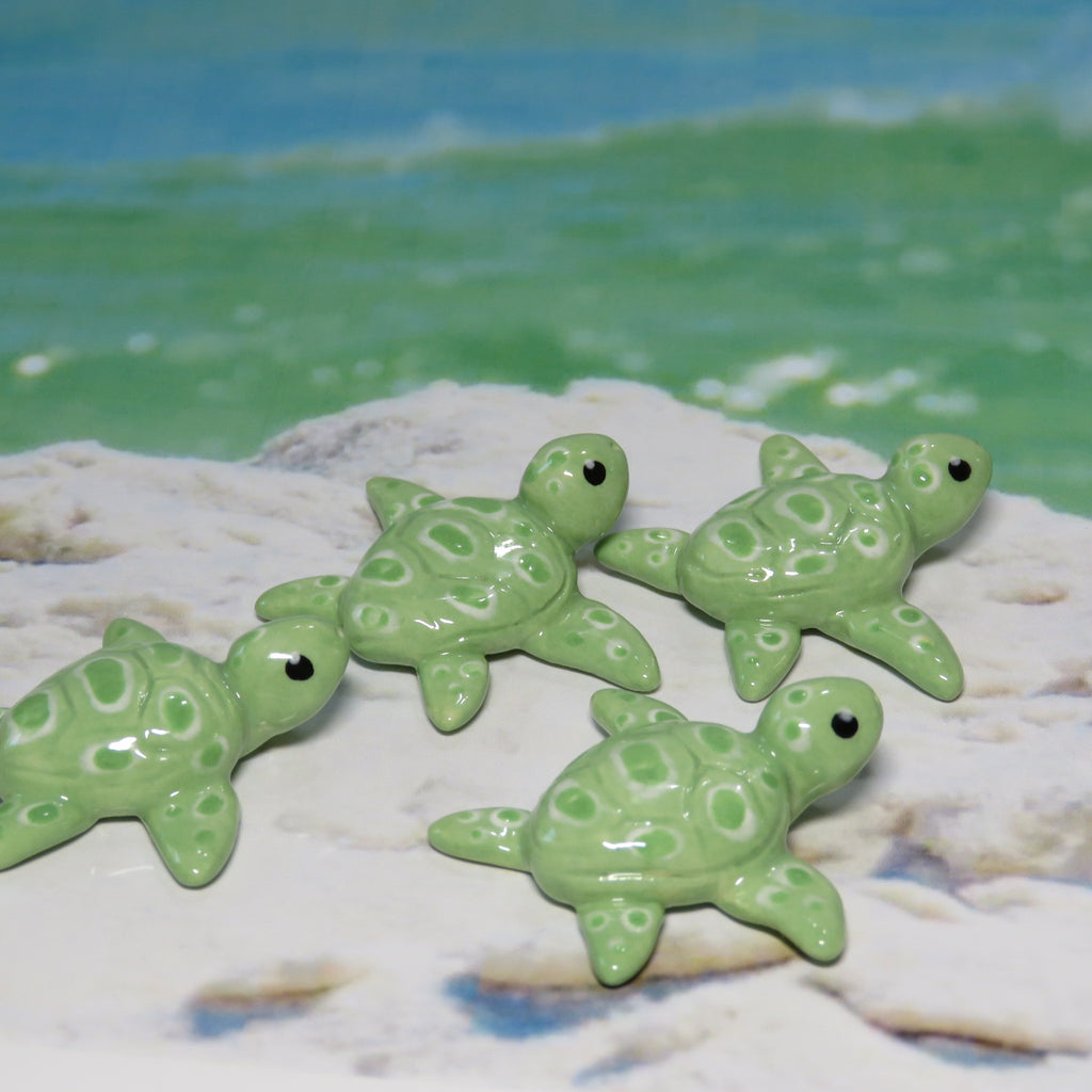 Sea Turtle