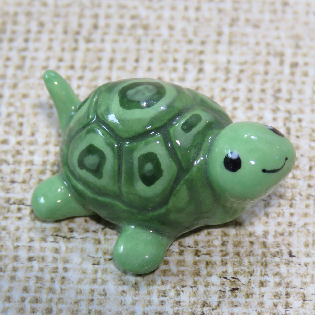 Turtle