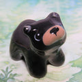 Black Bear