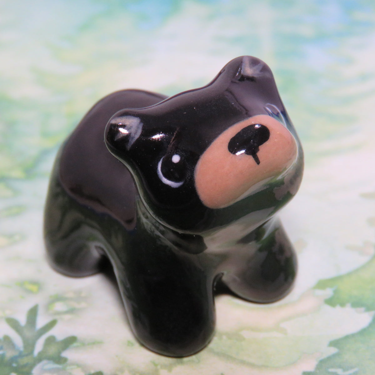 Black Bear