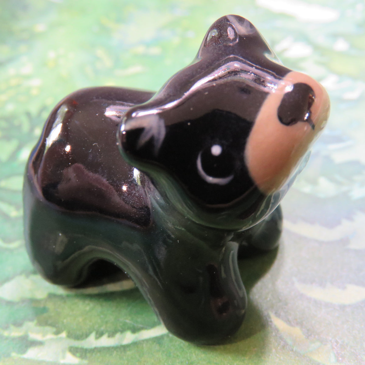 Black Bear