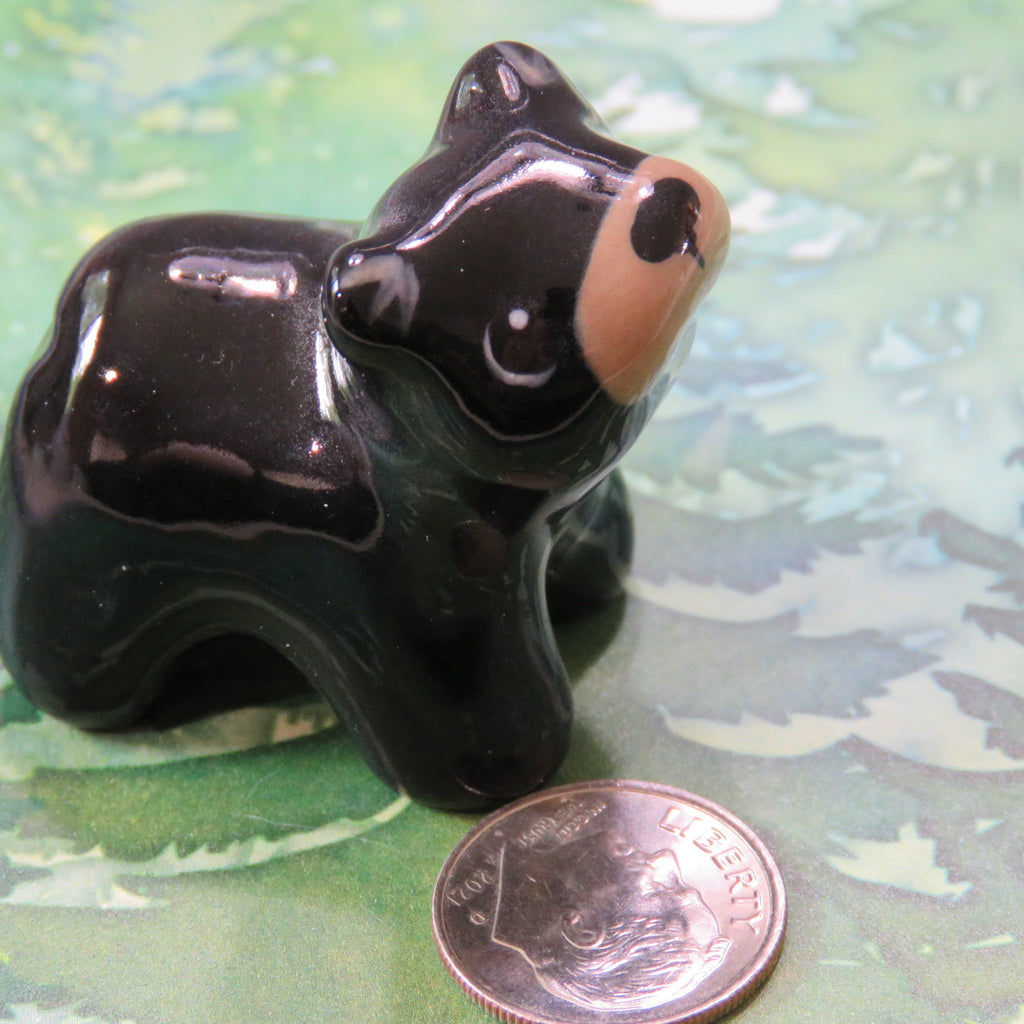 Black Bear