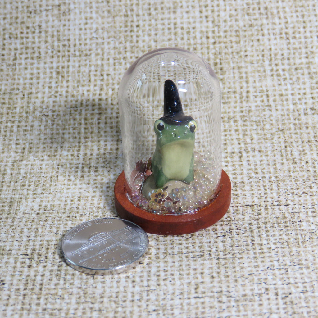 Frogwitch Glitter Dome