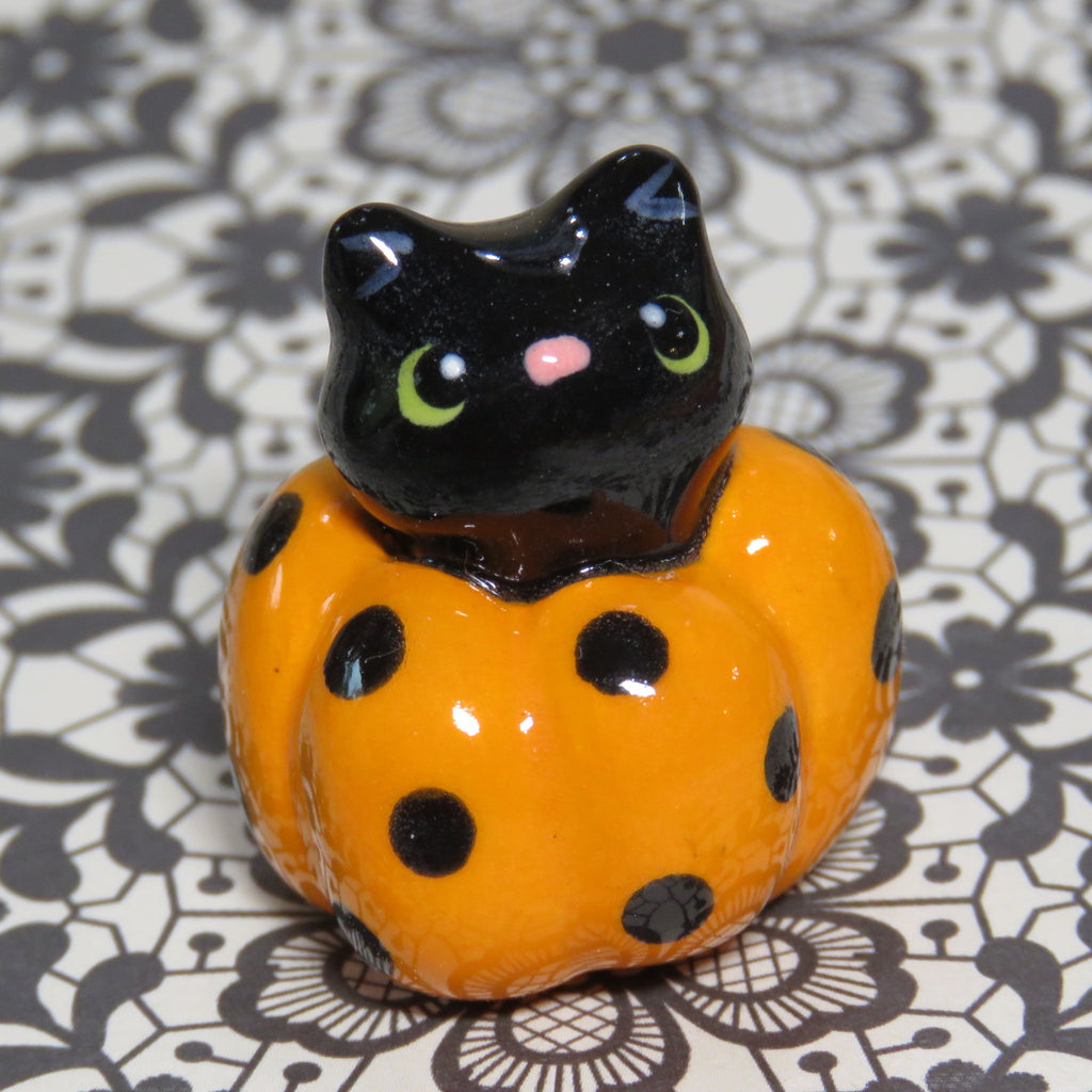 Polka Peeker