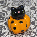 Polka Peeker