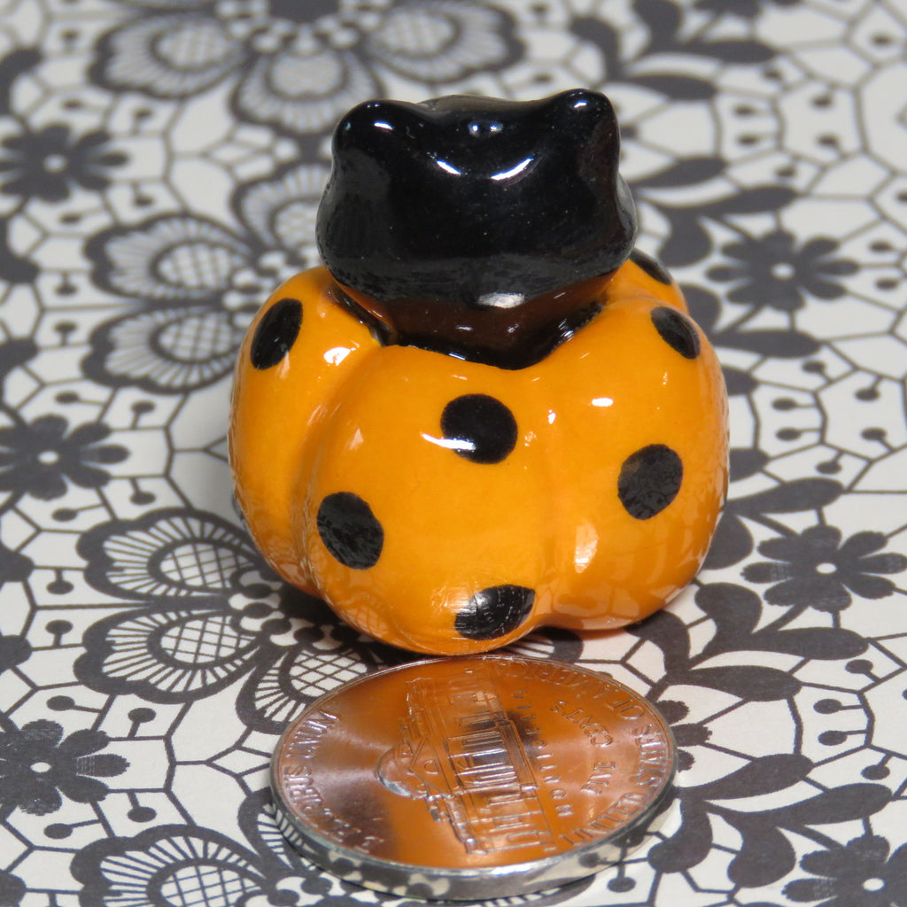 Polka Peeker