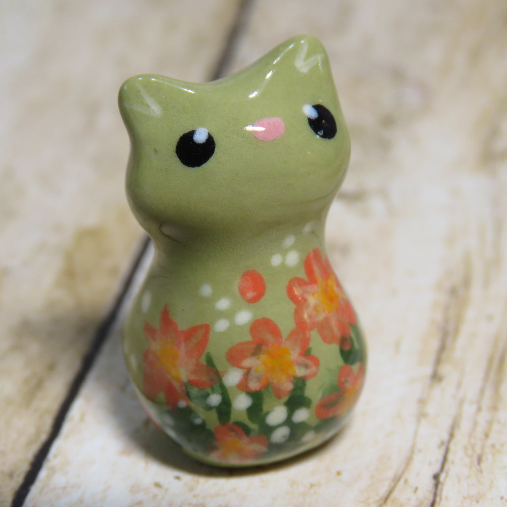 Chrysanthemum Kitty
