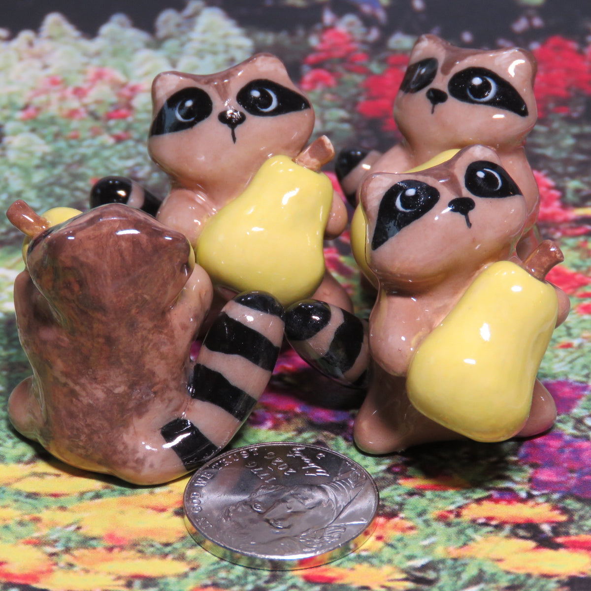 Harvest Pear Raccoon