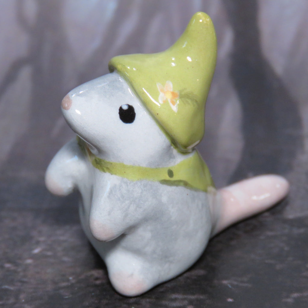 Possum Wanderer